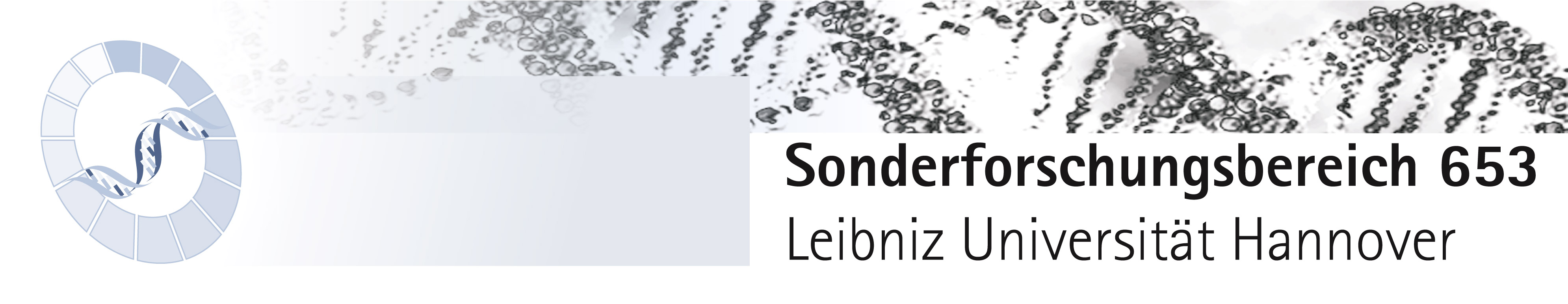 Logo Sonderforschungsbereich 653